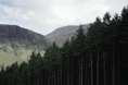 p2005 05d 013m