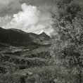p2005 05g bw 013m