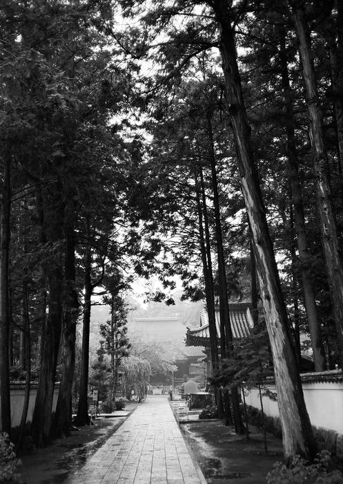 p2007 05 93 21A