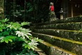 p2007 05 88 25