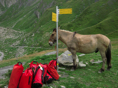 p2008 09mtblanc 0567