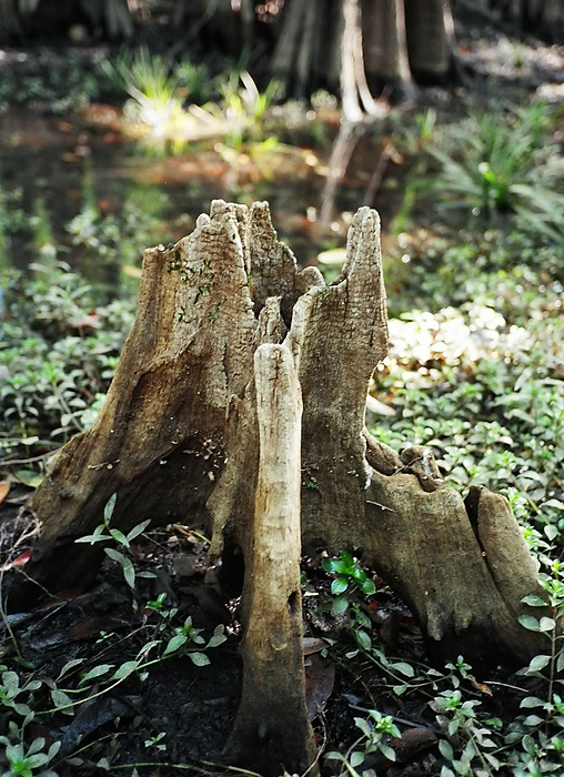 p2005 04f 003m9