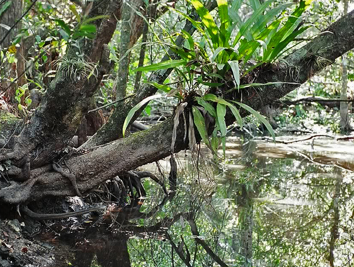 p2005 04f 008m2