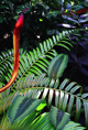 p2007 01a 15m