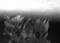 p2007 05b 0377 R01 034b