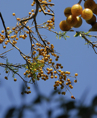 p2008 03 d200 2021m5