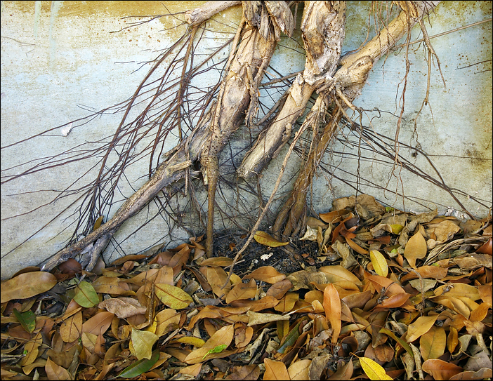 p2009 04l 00732m