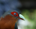 p2009 01 D200 0030m