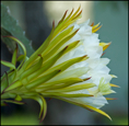p2009 08b d200 0017m