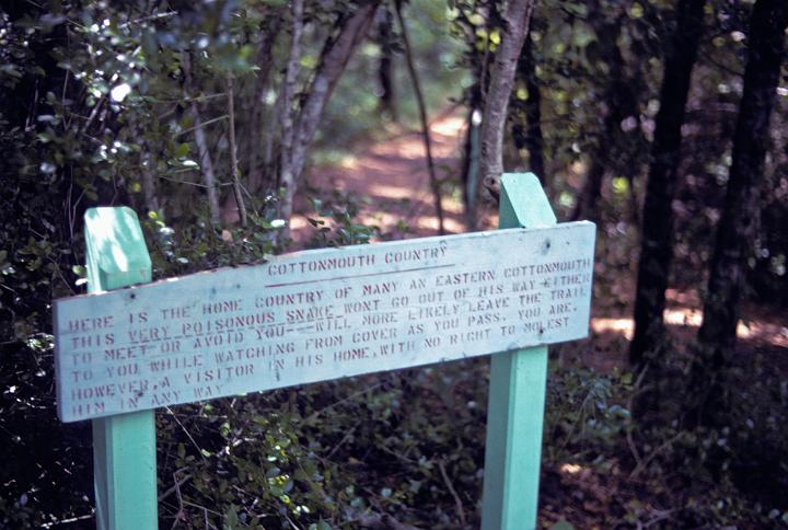 p1967_001-020m.jpg