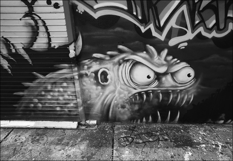 p2010 07 m9 00065bw