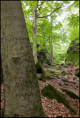 p2010 06 l 02436m