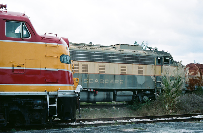 p2011 02 dale 022m