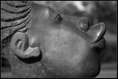 p2012 12 mm 00043m