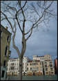 p2013 01 m9 00214m