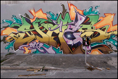 p2009 12 d200 0014m