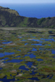 p2008 01 d200 1640m